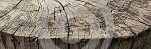 The Distressed Surface of a Log of Wood