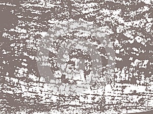 Distressed Tree Bark Vector Texture Background