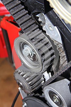 Distribution belt of an endothermic engine