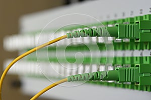 Distribution panel with connected optical patch cord cables