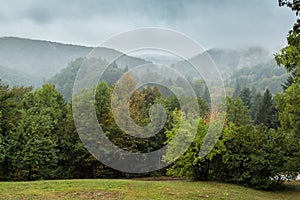 Disturbing landscape with grassed outskirts, forest thicket and