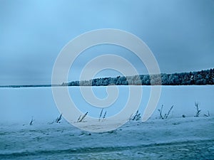 disturbing landscape of winter field and forest nearby.