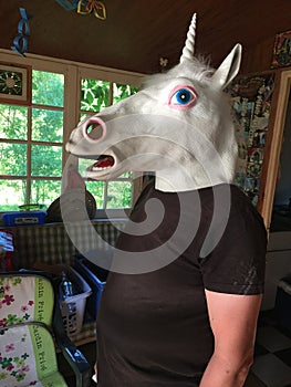 Disturbing unicorn