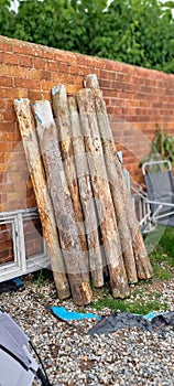 Disued tree trunks , Being Recyced in to a Garden Fence