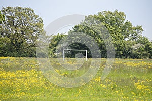 Disused football pitch in a field