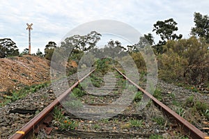 Disused and overgrown railway tracks