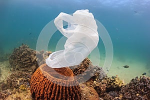 A disused plastic bag drifts past a sponge on a coral reef photo
