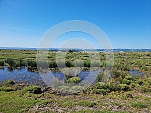 Disused quarry mine pit . Now a natural pond over a 1000 ft above sealevel