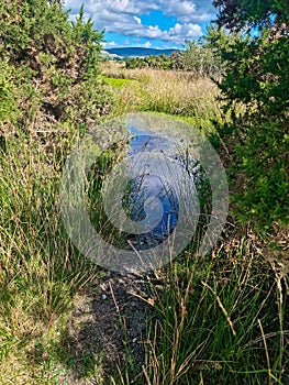 Disused quarry mine pit . Now a natural pond over a 1000 ft above sealevel