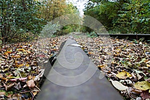 Disused rail track overgrown