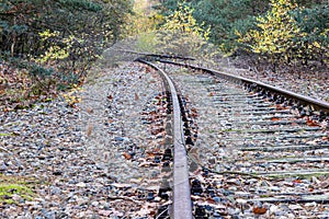 Disused train track covered by dry leaves with a fallen tree obstructing in the background