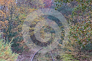 Disused train track of the old Iron Rhine Railway IJzeren Rijn surrounded by vegetation and trees with yellow green foliage