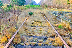 Disused train tracks at old station, rails and sleepers covered with grass