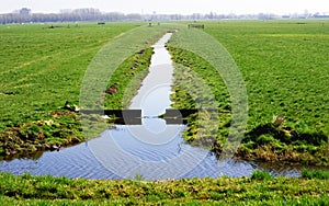 Ditch in the meadow