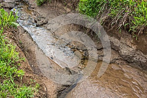 Ditch with a stream photo
