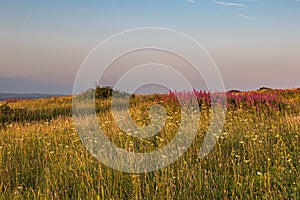 Ditchling Beacon Evening View