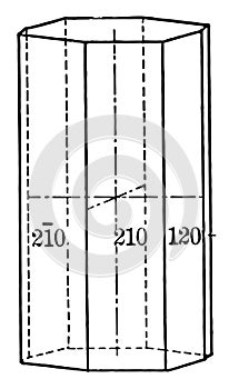 Ditetragonal prism vintage illustration
