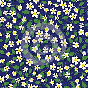 ditsy white yellow wild flower and green leaves with blue background