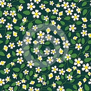 ditsy white yellow wild flower and green leaves with green background