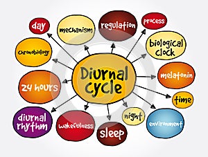 Diurnal cycle mind map, concept for presentations and reports photo