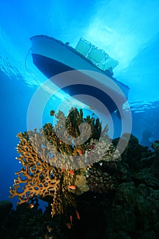 Dive Boat above Coral Reef