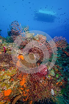 A Dive Boat Drifts Over a Deep Reef in the Turks and Caicos