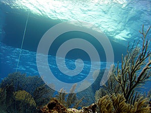 Dive boat and reef