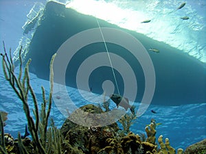 Dive boat and reef