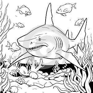 Dive into the deep with this captivating shark-themed coloring book