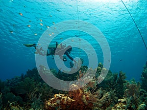 Dive Master checking the Mooring in Cayman Brac