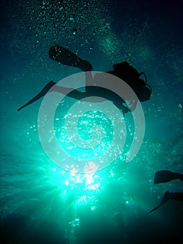 Diver above