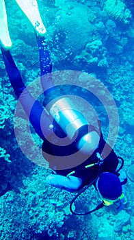 Diver from above in blue sea with corals