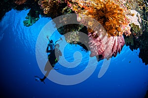 Diver, barrel sponge Xestospongia sp. in Banda, Indonesia underwater photo