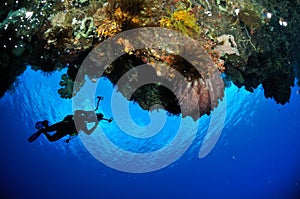 Diver, barrel sponge Xestospongia sp. in Banda, Indonesia underwater photo