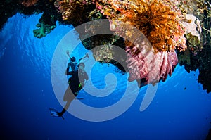 Diver, barrel sponge Xestospongia sp. in Banda, Indonesia underwater photo photo