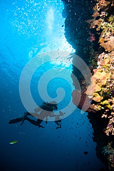 Diver blue water scuba diving bunaken indonesia sea reef ocean