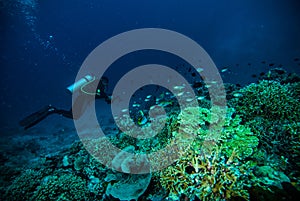 Diver blue water scuba diving bunaken indonesia sea reef ocean