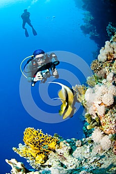 Diver with camera along the reef, Red Sea