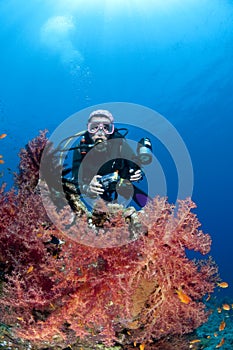 Diver with camera along the reef, Red Sea