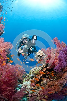 Diver with camera, underwater photo, Red Sea