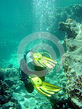 Diver with coral