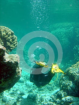 Diver in coral gully