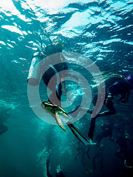 Diver is diving in the sea, Myanmar