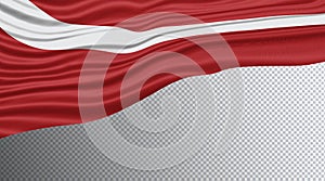 Diver Down Wavy Flag clipping path