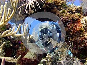 Diver enjoys a sunny dive