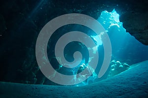 A diver explores the cracks, crevices and holes in a coral reef on the Red Sea