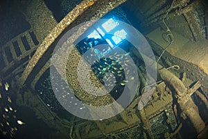 Diver exploring inside a shipwreck