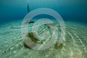 Diver exploring lake bottom