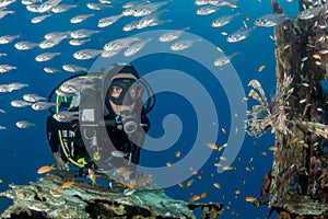 Diver among fish