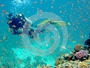 Diver with fish